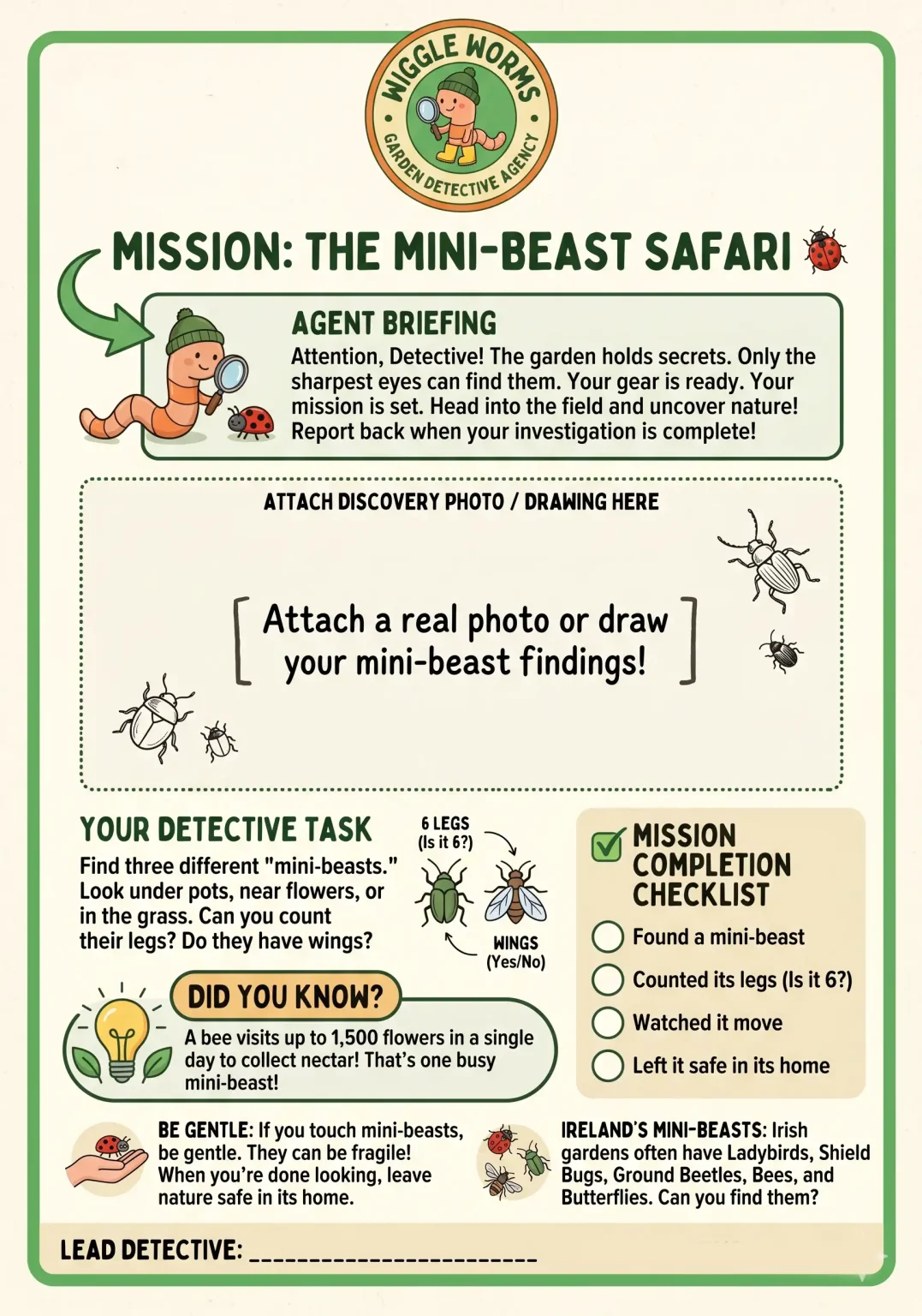 Wiggle Worms Mini Beast Mission