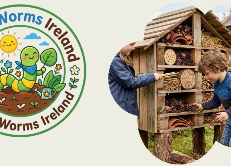 Build a Five-Star Bug Hotel