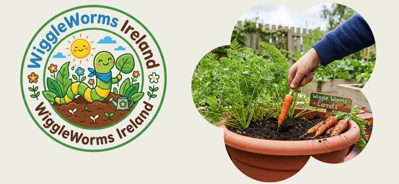 Freshly pulled carrots