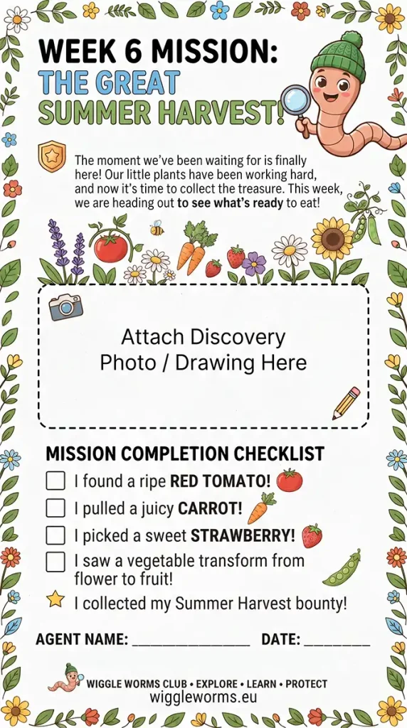 THE GREAT SUMMER HARVEST!