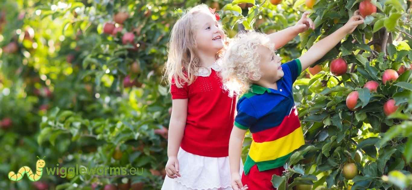Children harvesting fresh vegetables from an Irish garden patch