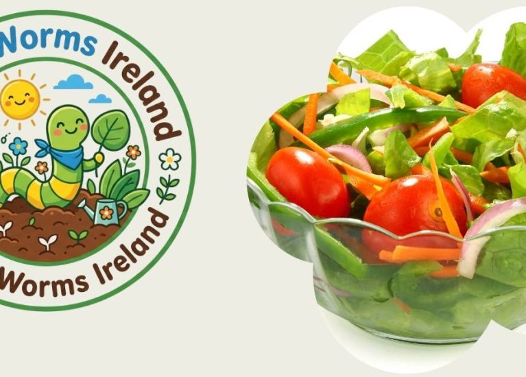 WEEK 7 MISSION: THE SALAD BOWL HARVEST!
