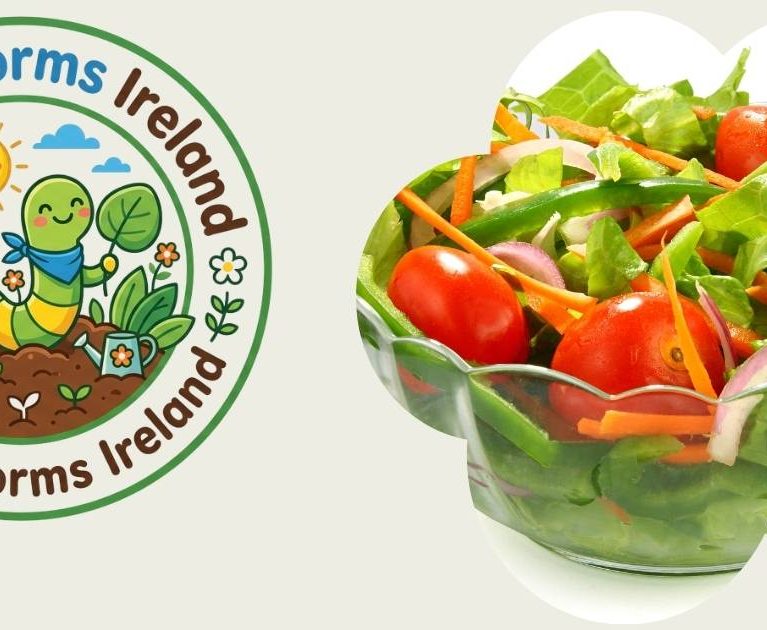 WEEK 7 MISSION: THE SALAD BOWL HARVEST!