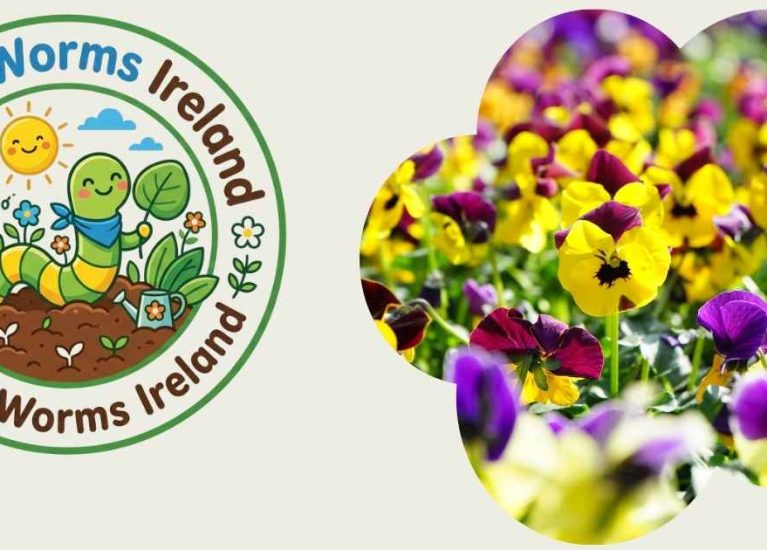 Wiggle Worms Winter Greens & Pansies