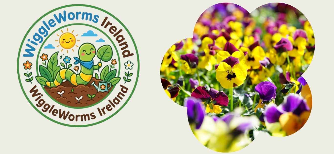Wiggle Worms Winter Greens & Pansies