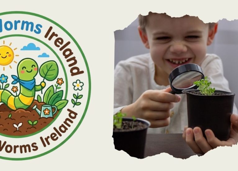 Grow Cress in 7 Days | Easy Gardening Mission for Kids | WiggleWorms Ireland