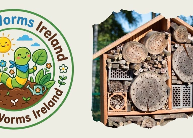 How to Build a Bug Hotel for School Gardens