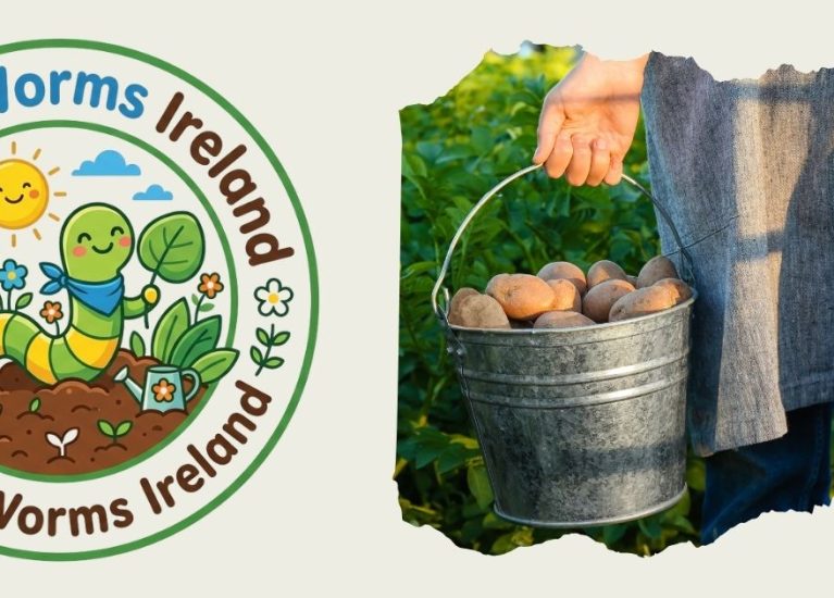 How to Grow Potatoes in a Bucket