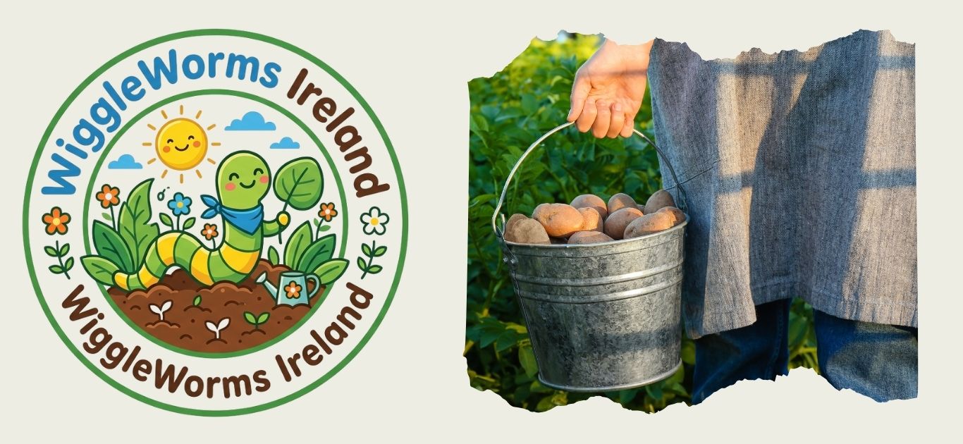 How to Grow Potatoes in a Bucket