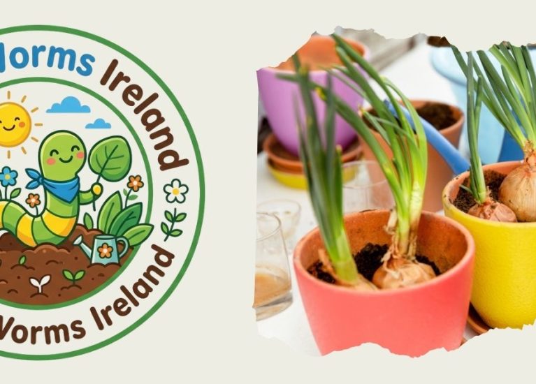 How to Grow Spring Onions from Kitchen Scraps