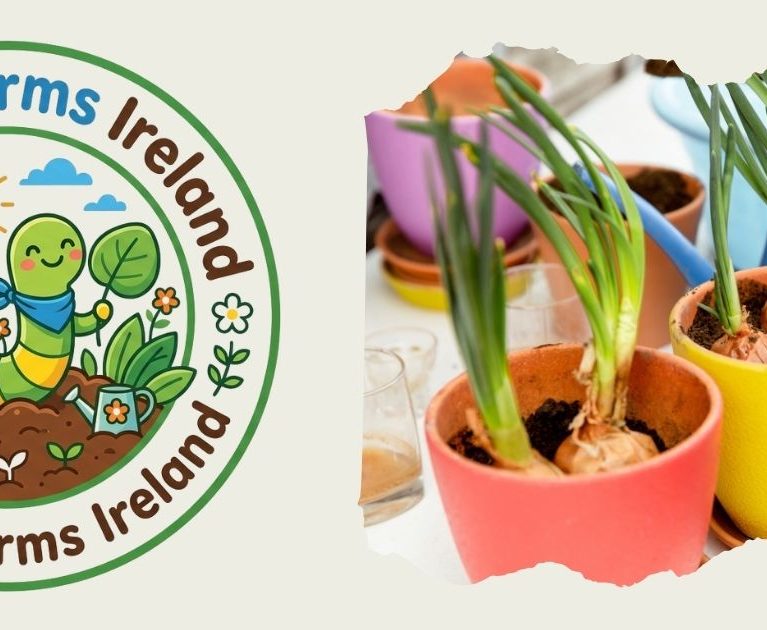 How to Grow Spring Onions from Kitchen Scraps