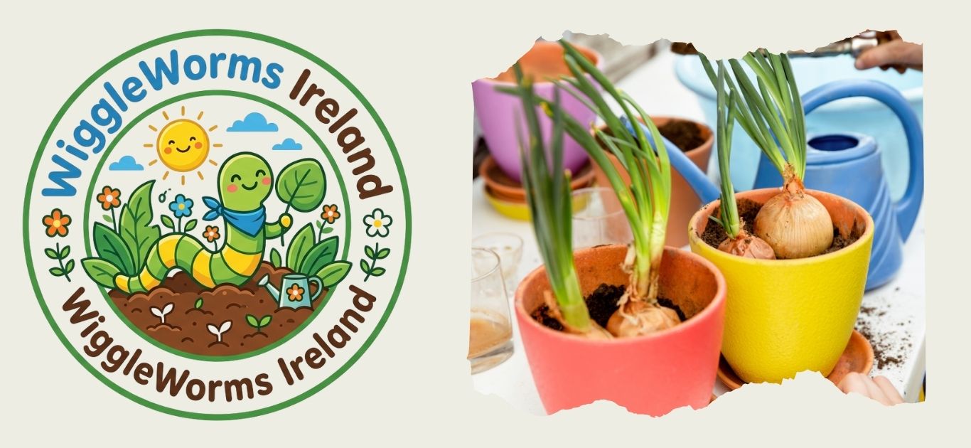 How to Grow Spring Onions from Kitchen Scraps