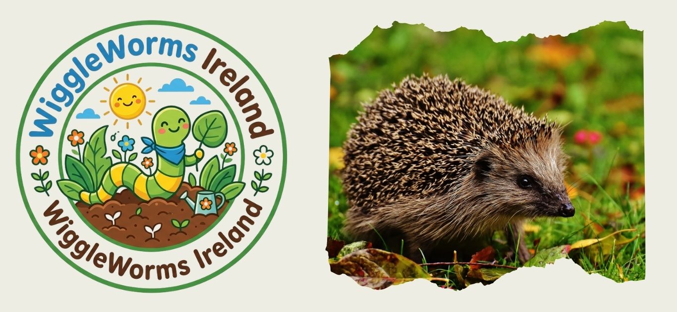 Meet the Irish Garden Hedgehog | Wildlife for Kids | WiggleWorms Ireland