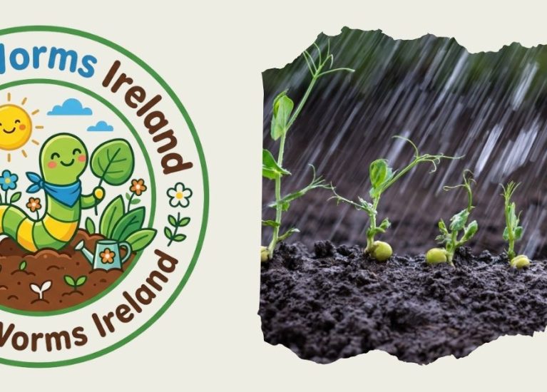 What Happens to Soil When It Rains? | Rainy Day Science for Kids