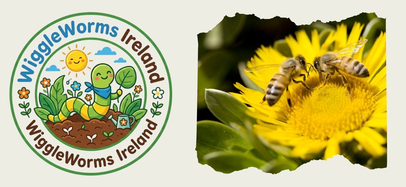 Why Do Bees Visit Flowers? | Pollinator Mission for Kids
