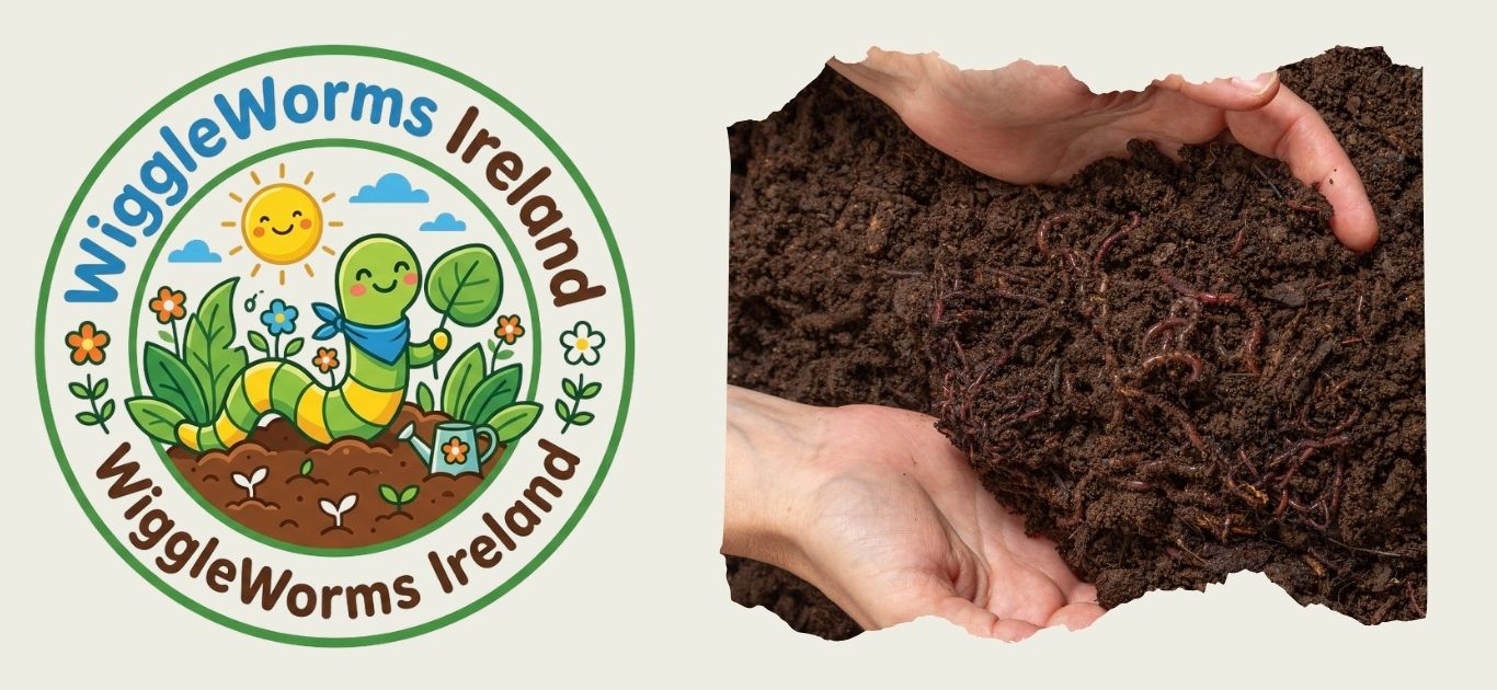 Why Do Earthworms Wiggle? | Soil Science for Kids | WiggleWorms Ireland