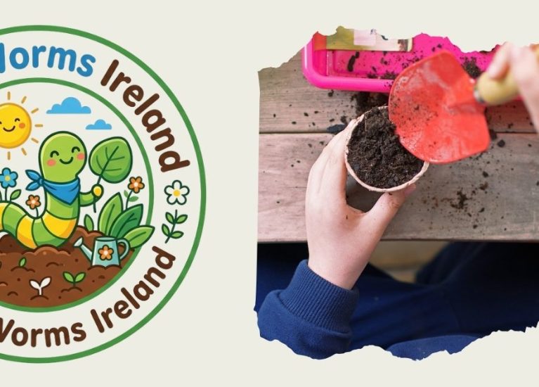 How to Make Wildflower Seed Bombs for Kids