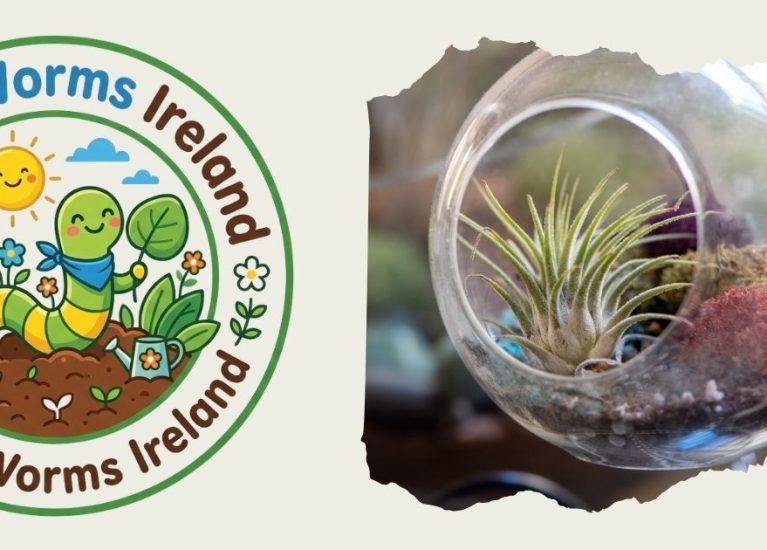 How to Make an Indoor Mini-Greenhouse | Rainy Day Ideas | WiggleWorms Ireland