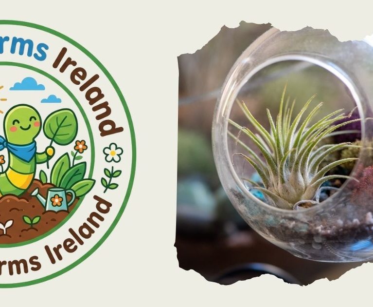How to Make an Indoor Mini-Greenhouse | Rainy Day Ideas | WiggleWorms Ireland