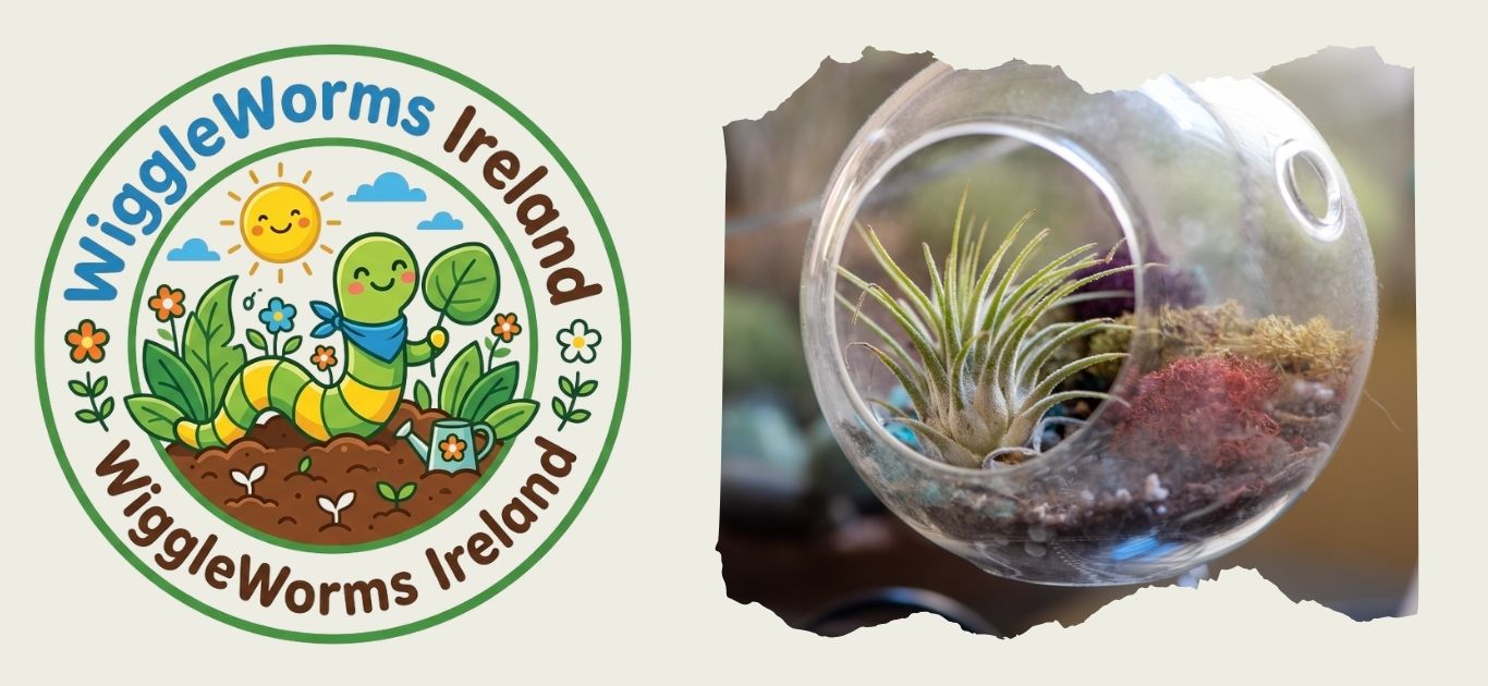 How to Make an Indoor Mini-Greenhouse | Rainy Day Ideas | WiggleWorms Ireland